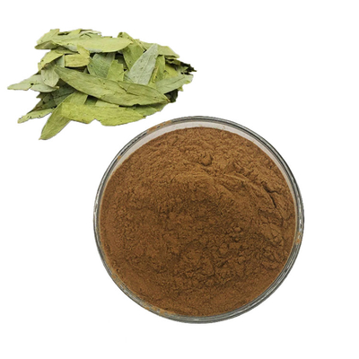 Senna Leaf Extract Powder Folium Sennae Dried Powder with Sennosides